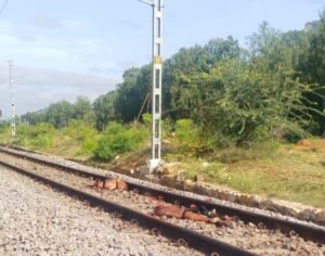 IMG 20240811 WA0133
