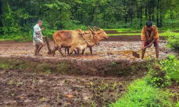 అక్టోబర్‌ 5న పీఎం కిసాన్‌