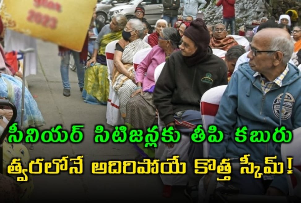 సీనియర్