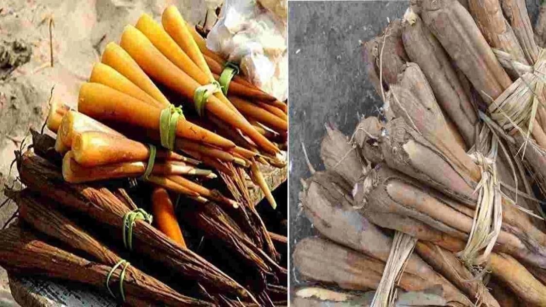 చలికాలంలో