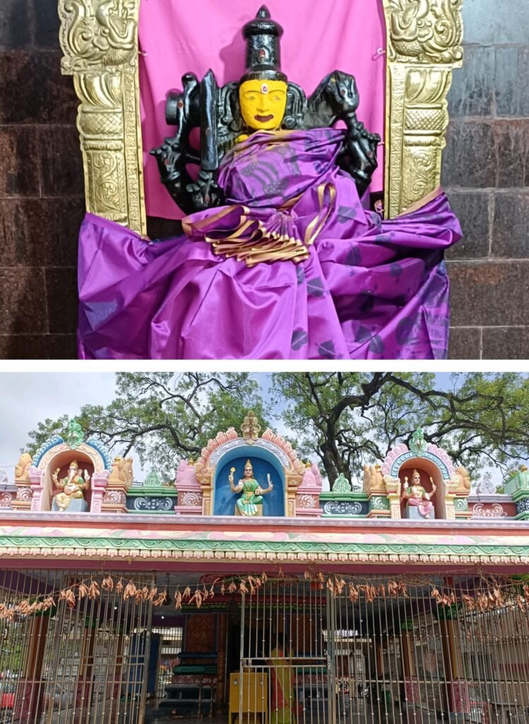 నర్సాపూర్ పోచమ్మ ఆలయంలో చోరీ.. 1 IMG 20250620 101155